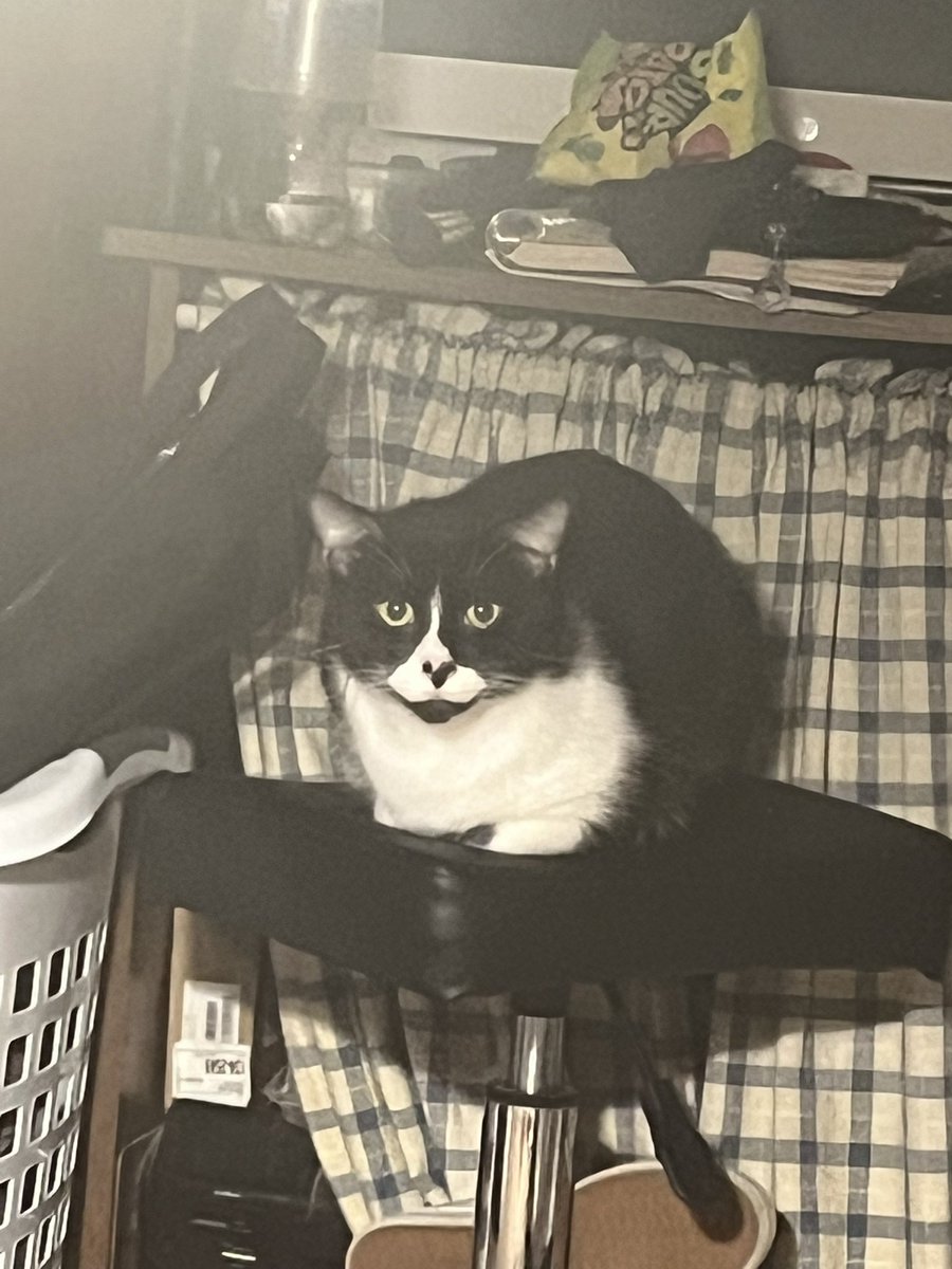 Christen Lynn tweet media