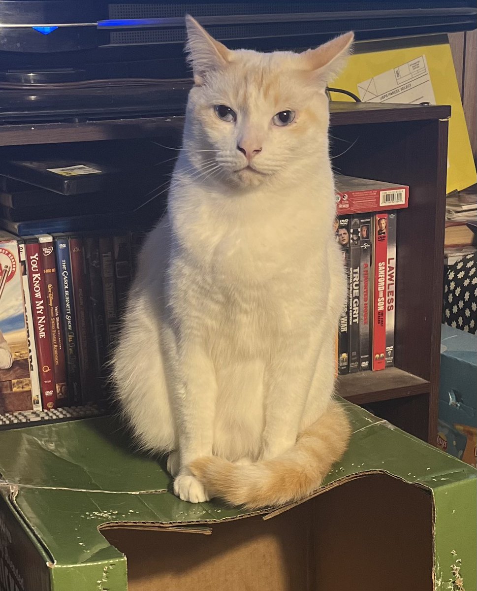 Christen Lynn tweet media