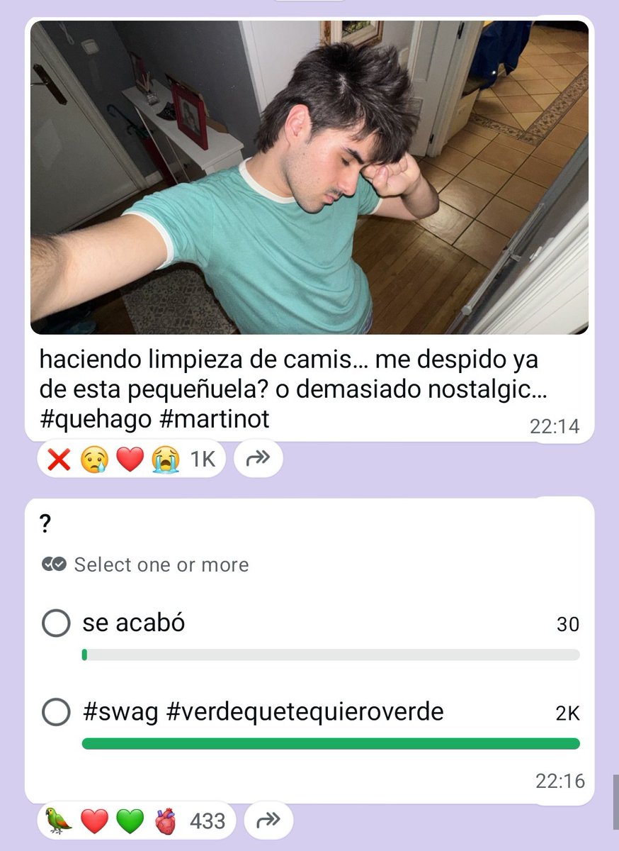 majosguide's tweet photo. 📲 | Martin's messages via whatsapp | November 21, 10:14PM

I'm cleaning out my shirts... should I say goodbye to this little one? or is it too nostalgic (to let it go)... #whatshouldIdo #martinot

[Poll]:
• it's over
• #swag #greenlovegreen https://t.co/mQpydCfyYy