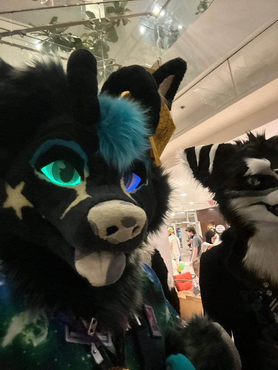 Happy #FursuitFriday! 

I can't wait for the next con! 

🧀 <a href="/SharpyTheSergal/">Sharpy</a> 

🧵 <a href="/NordstromKaiju/">𒌐 Nordstrom</a> 
🧵 <a href="/yazurscritters/">Yazur's Critters Hub 🐾</a>