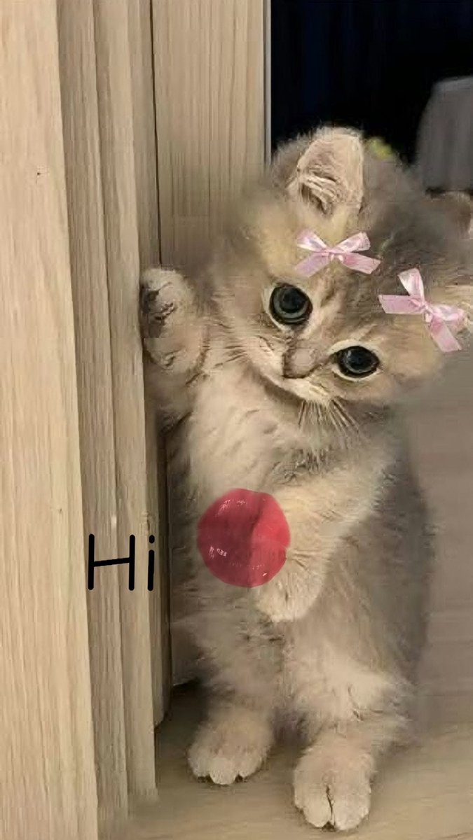 nadahereselff's tweet image. 🤍📷❤️💜👧🏻