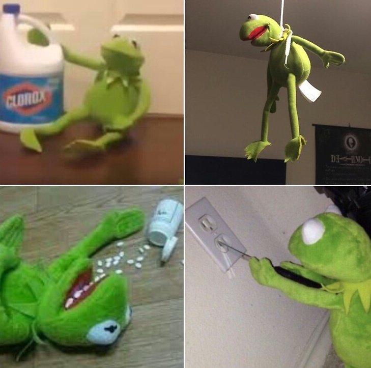 شاپور (@gorbekalekiri) on Twitter photo 