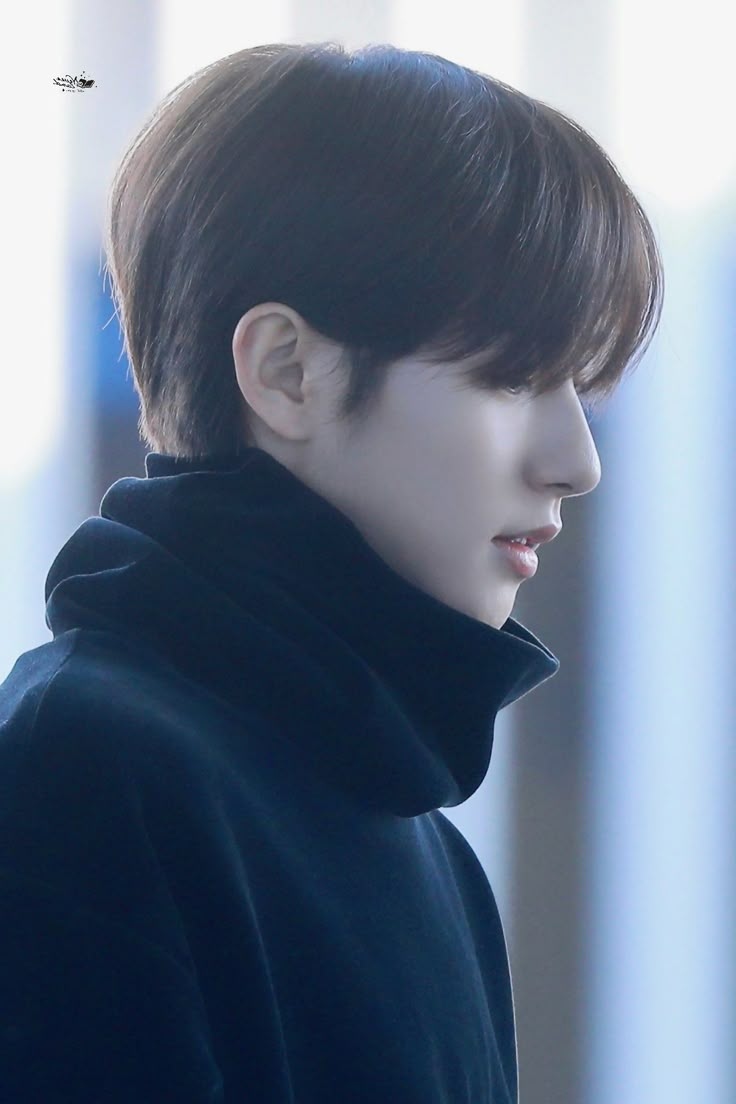 xiaorenbao's tweet image. he has the best side profile recorded in history