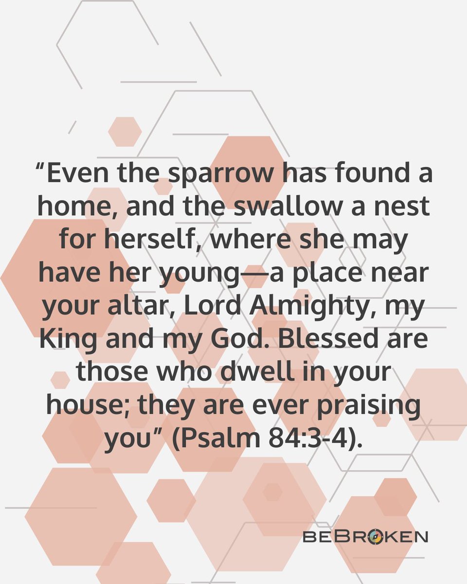 bebroken's tweet photo. “Even the sparrow has found a home, and the swallow a nest for herself, where she may have her young—a place near your altar, Lord Almighty, my King and my God. Blessed are those who dwell in your house; they are ever praising you” (Psalm 84:3-4). 

#WeekendScripture #Psalm84 https://t.co/hpVTEmCB1Y