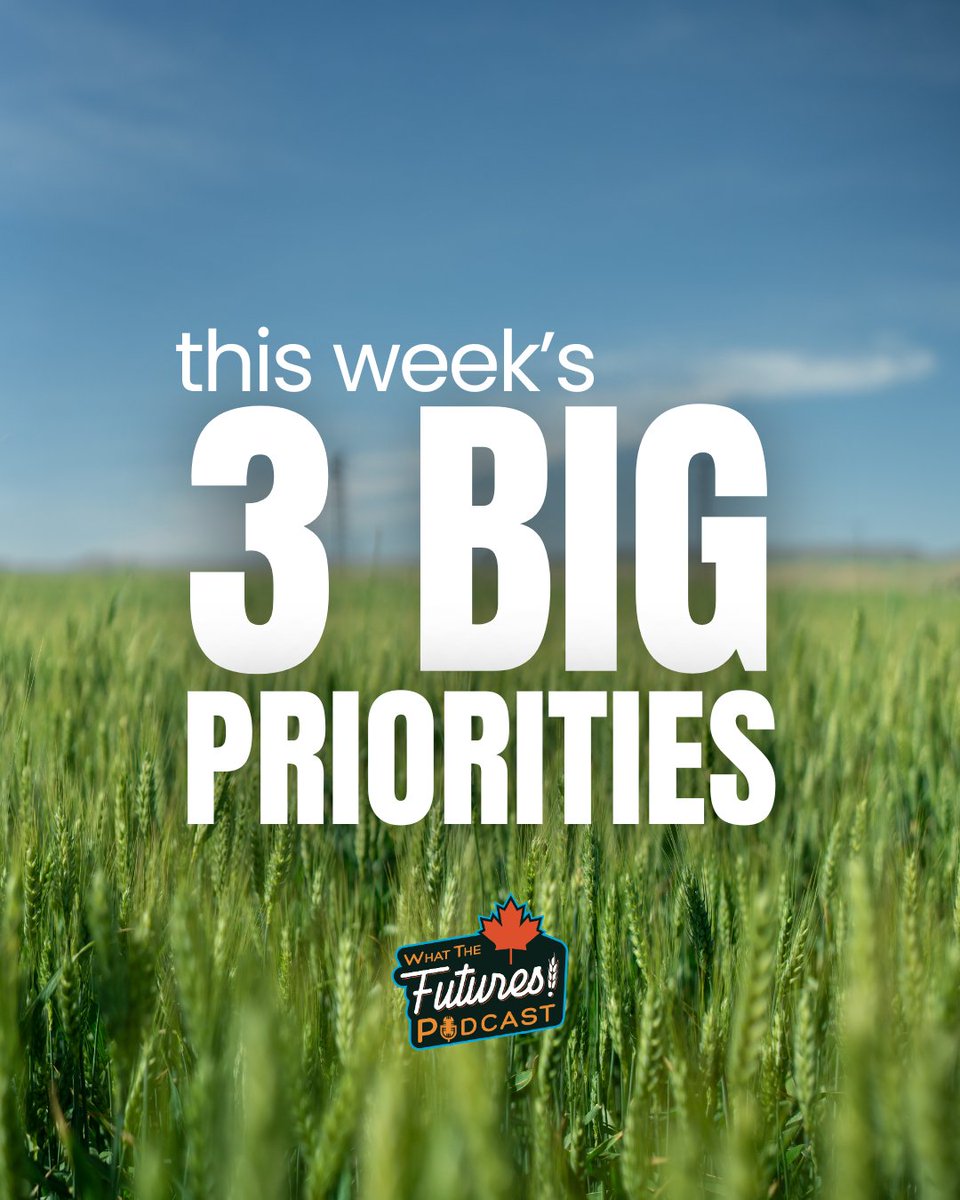 A farmer told me this week:
“Ryan, I need a million dollars by the end of January.”

That’s not unusual.
Inputs come due.
Demand pauses.
Cash needs rise.

Please don’t wait until the moment you need to sell.
Because then… yikes. Buyers have zero urgency, and that’s when it gets