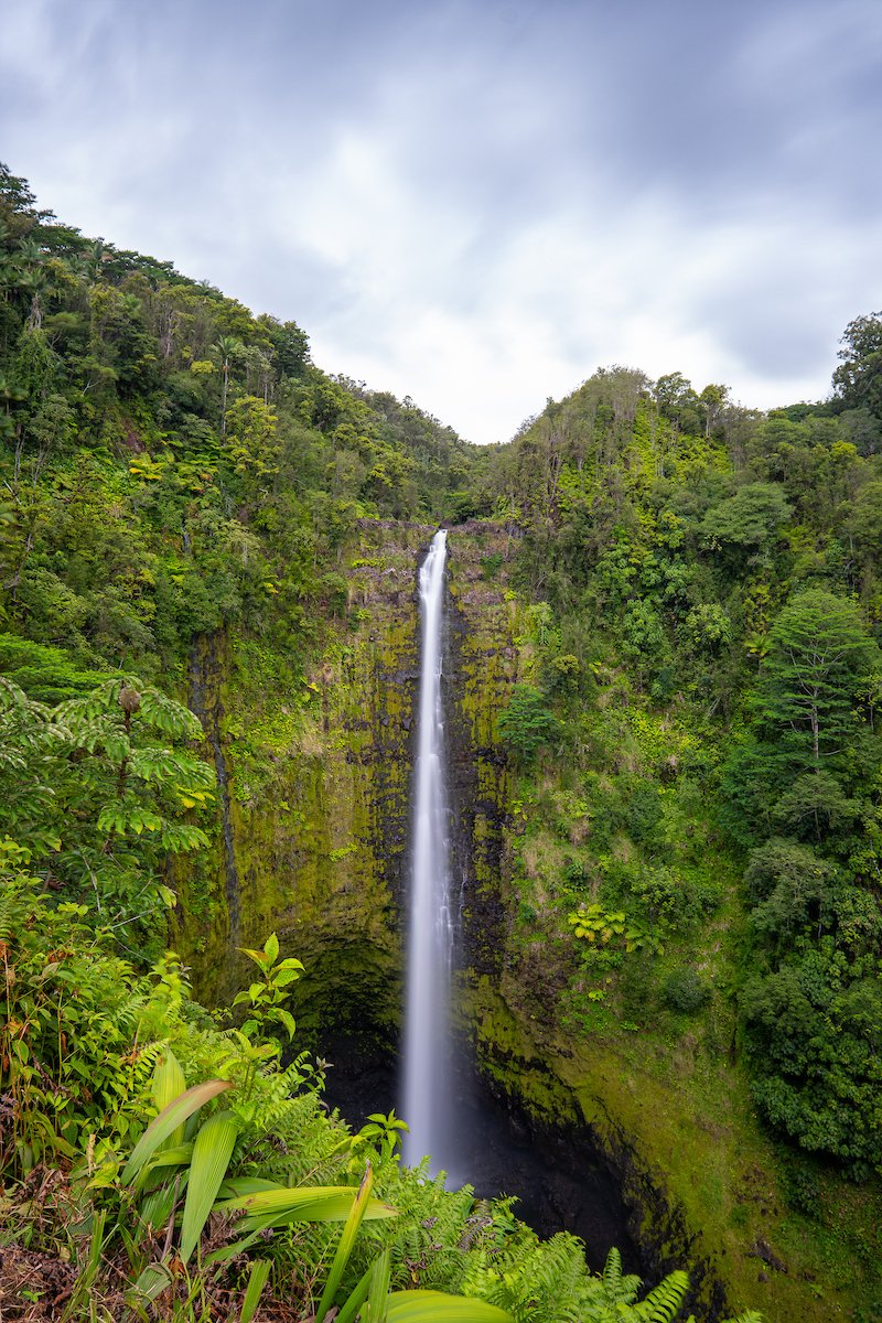 HAWAI'I Magazine tweet media