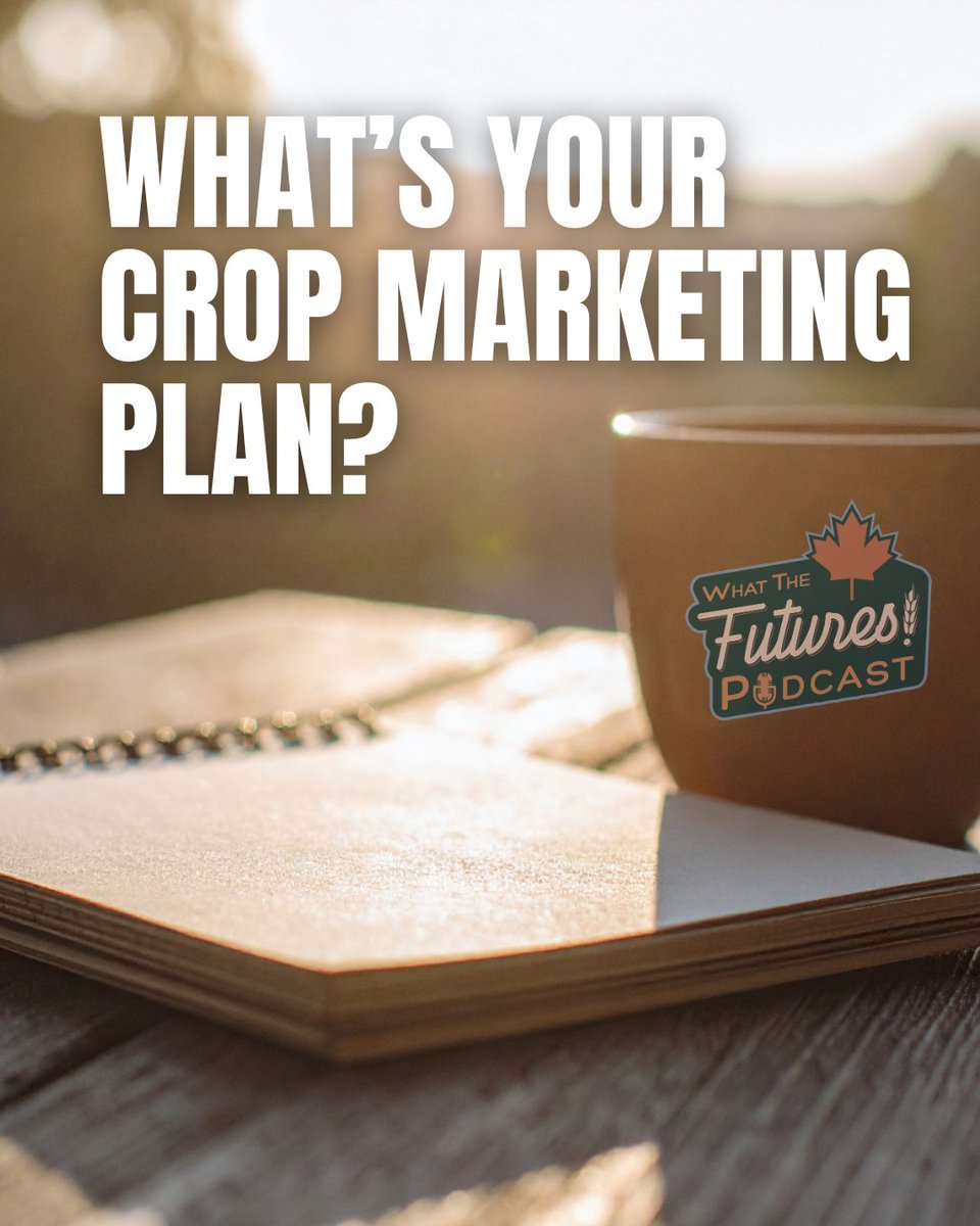 Most farms don’t have a marketing plan — they have a reaction plan.
They check what the neighbours are doing. They skim ten newsletters. They wait for someone to say, “Looks like it might go higher.” They make emotional decisions in the moment, and hope it works out later.