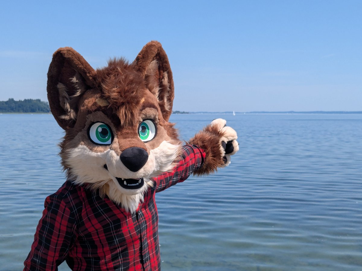 Takeru Kamachi tweet media