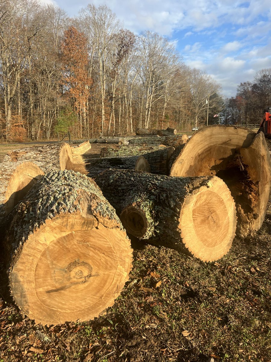 Rooted In Grace Stump Co. 🪵 (Robby) tweet media