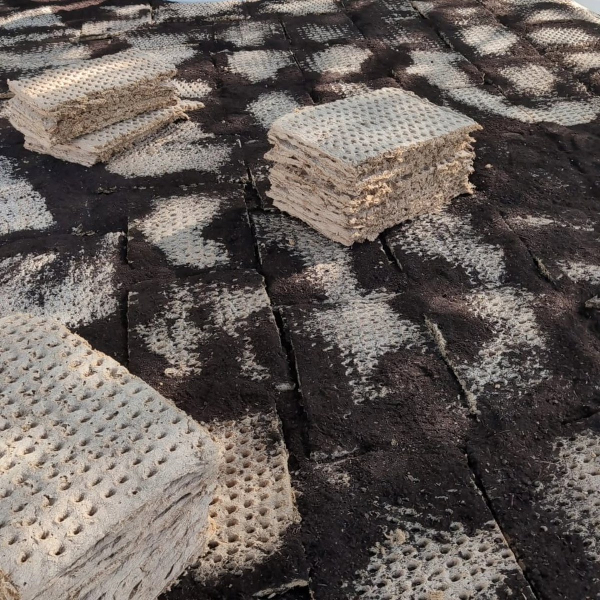 Secalflor tweet media