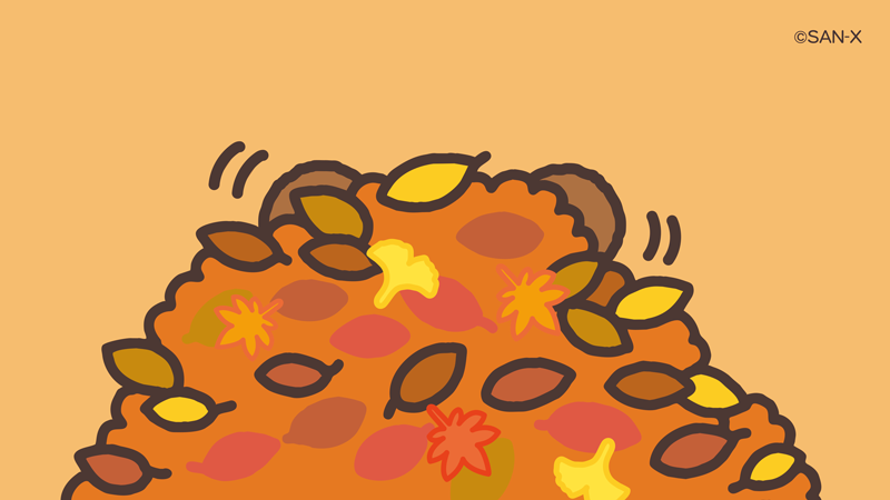 落ち葉の中から…くまま〜！ びっくりした？🍁