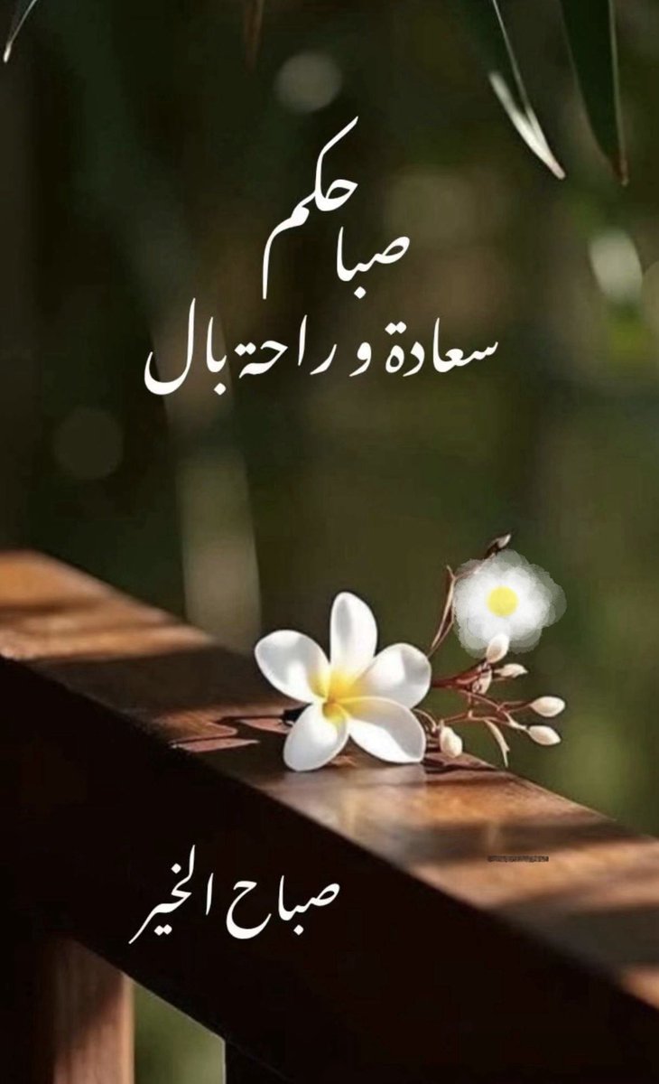 _mq_5's tweet image. &apos;

أسَألٰ الله أنَ يجعَل يومَنا مليئاً بالبرَڪَة
و الخَير وأنَ يُسعِد قُلوبَنا بڪُل مَا تتمنَاه .🌺

&apos;
                        #صباح_الخير
