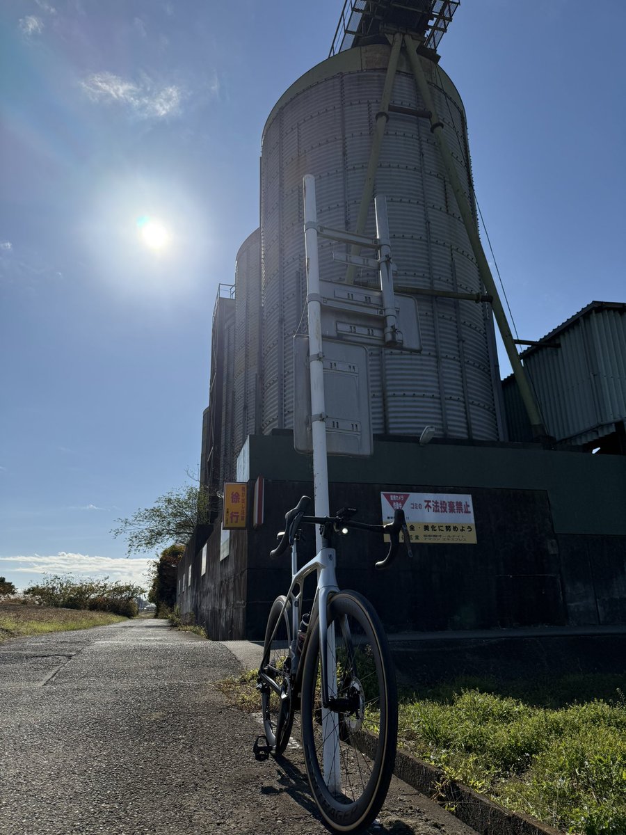 100_Colors's tweet image. ぽかぽかサイクリング

#ロードバイク 
#PROJECTONE 
#TREK 
#Madone 
#MadoneSLR