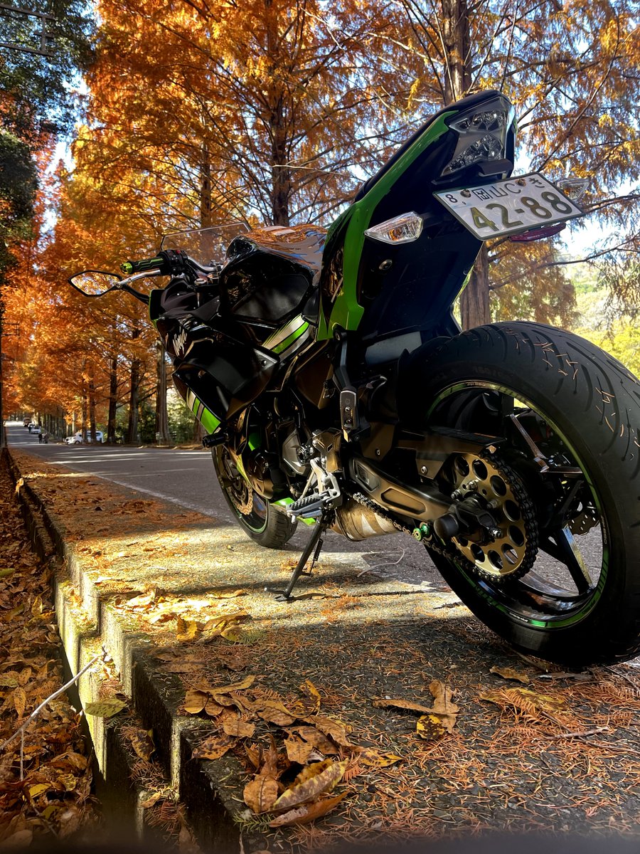 りこ (@4jg93fAnOADUDPq) / Posts / X