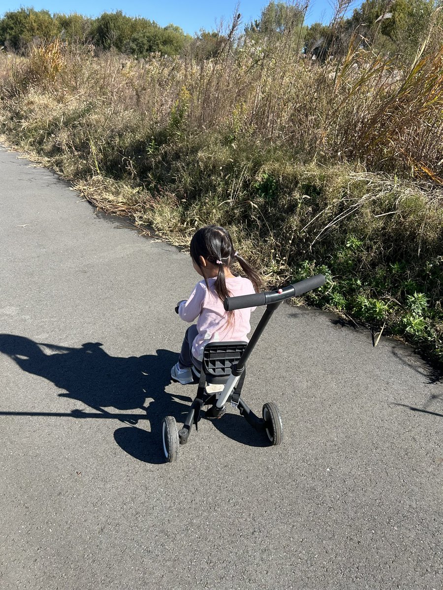 chiyo_o2o8's tweet image. いい天気や