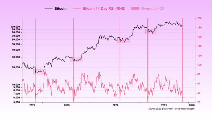 Catalina Castro tweet media