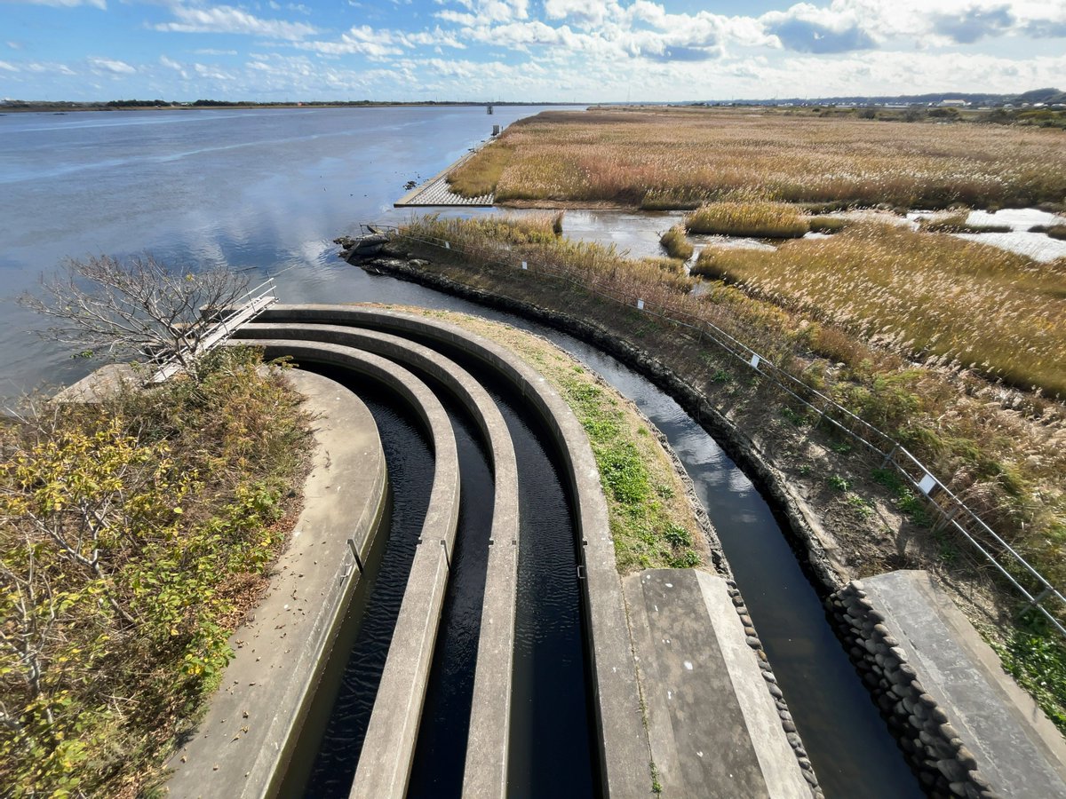 udon01410141's tweet image. NORTH FACE水路