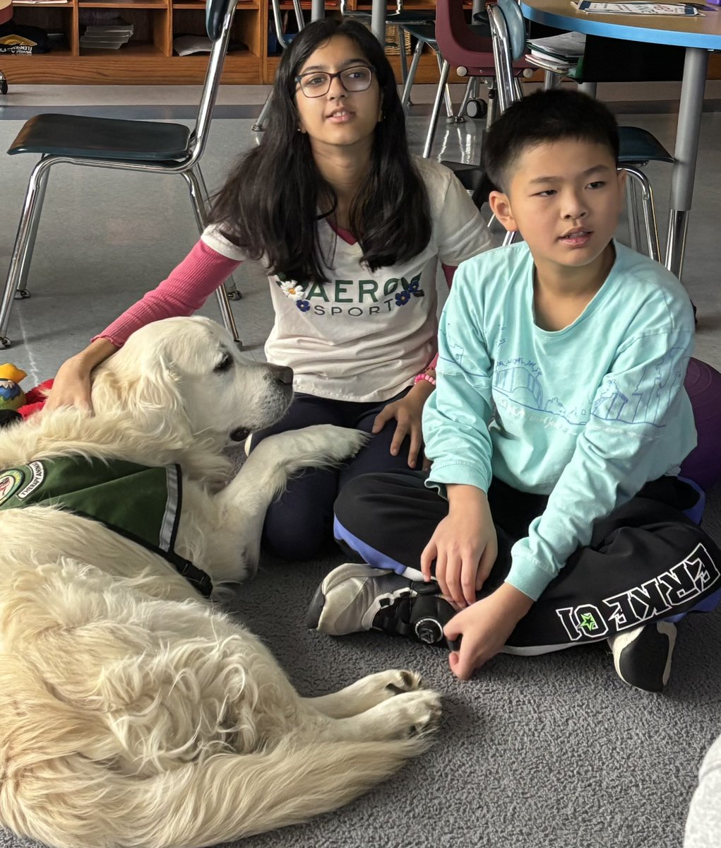 Moby. He listens, loves, and comforts. He is a true friend. <a href="/A_RiveraNY/">Dr. Alejandro Rivera</a>  <a href="/PTAJackson/">George A Jackson PTA</a>