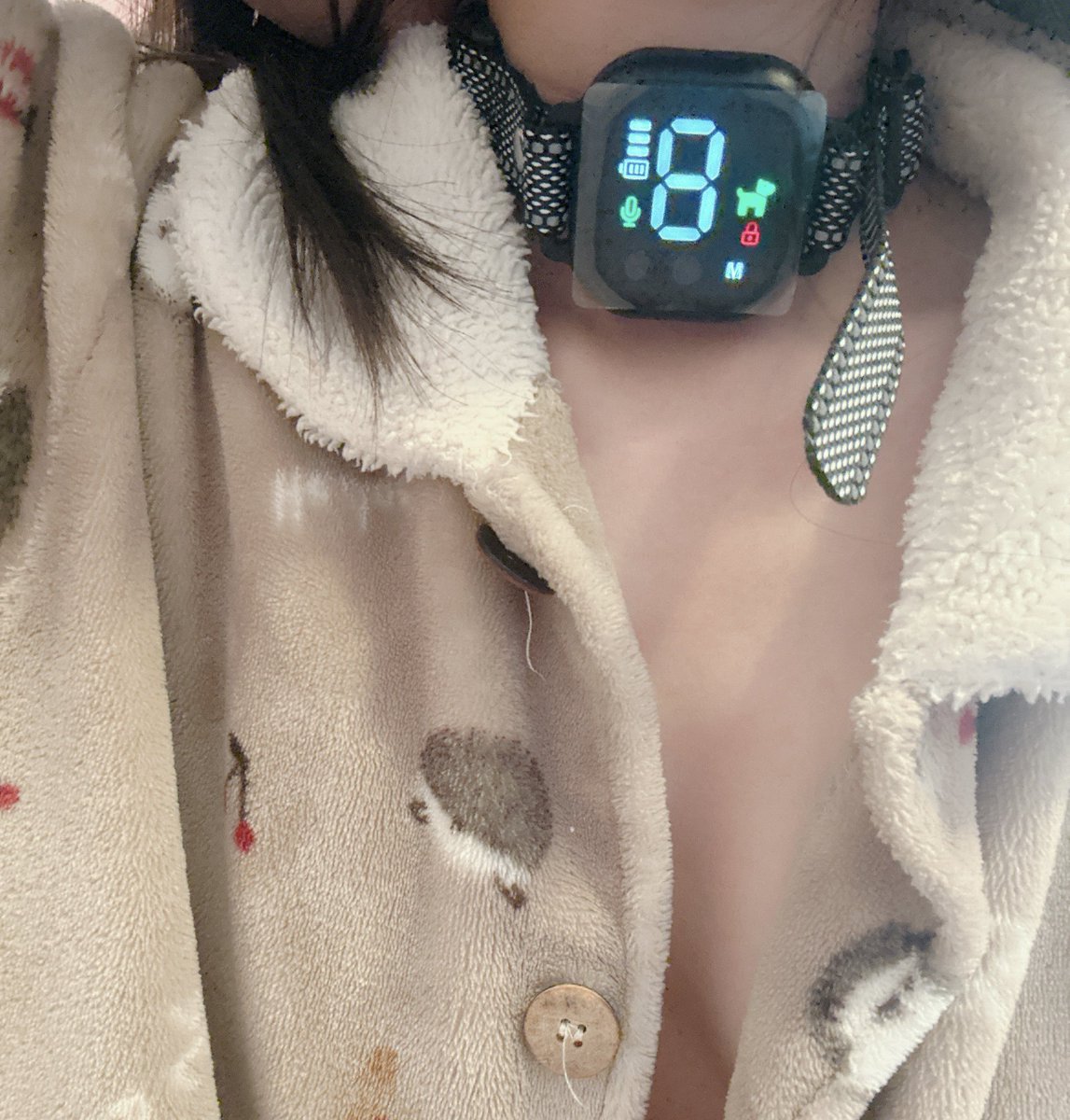 犬のしつけ用電気ショック首輪、想像以上に痛い😞

I played “Don't Scream” using an electric shock collar meant for dog training. 
The electric shocks were far more painful than I imagined, and this should never be used on dogs. 
Damn you, Hassan Pika!!🐶⚡️