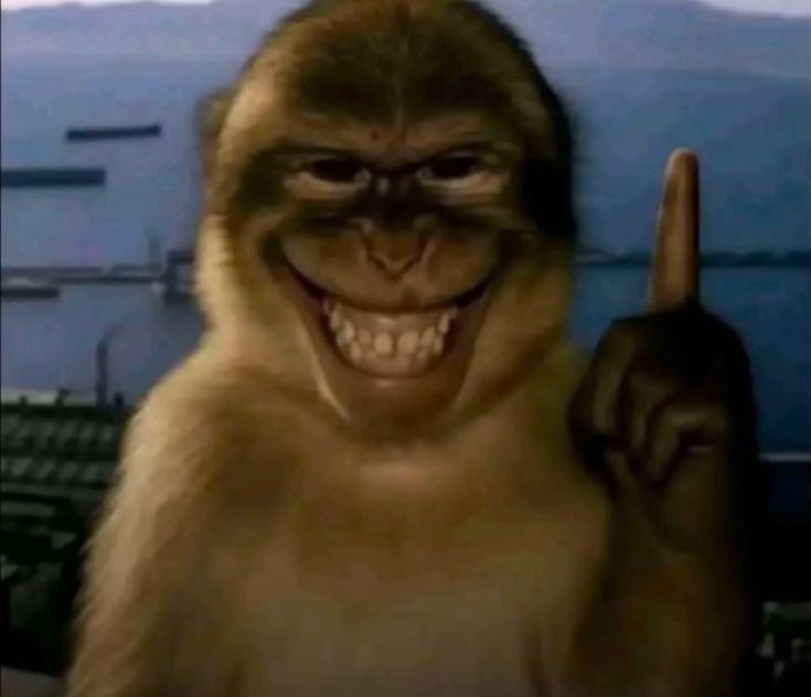 vitale11d's tweet image. vou fazer uma revolução na comunidade no qual seres místicos deixaram de ser um tabu e vão se mostrar, e outras pessoas vão se inspirar, em menos de 4 meses a comunidade estará cheia de gnomos, bruxas, vampiros e lobisomens, os humanos não venceram novamente