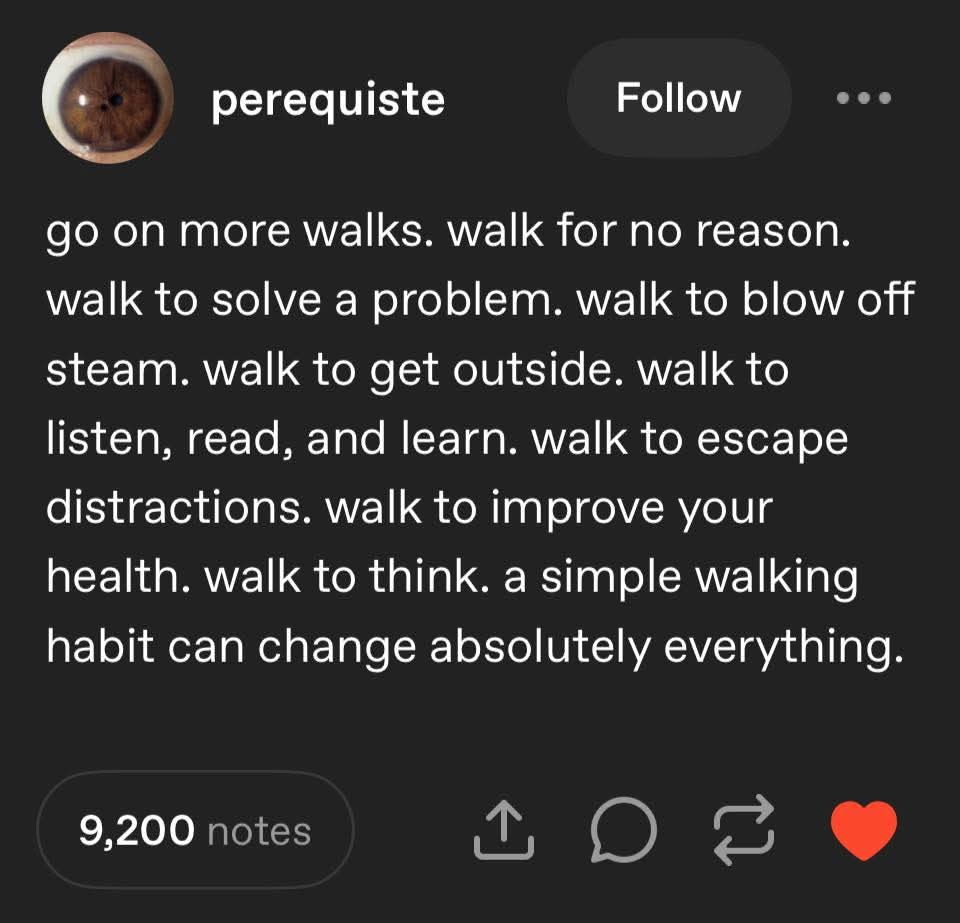 ovshake42's tweet image. I absolutely endorse this. Works like magic. Works every time.