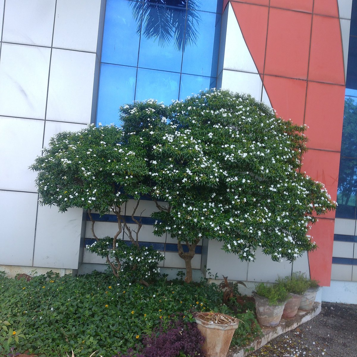 Happy Morning 🖤✨😻