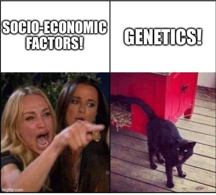 NatCon2022's tweet image. Memes