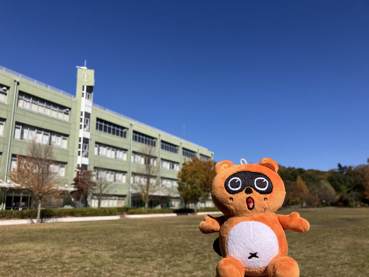 こんにちは☀️たぬきちだぽん🍃 今日からうれしい3連休だぽん