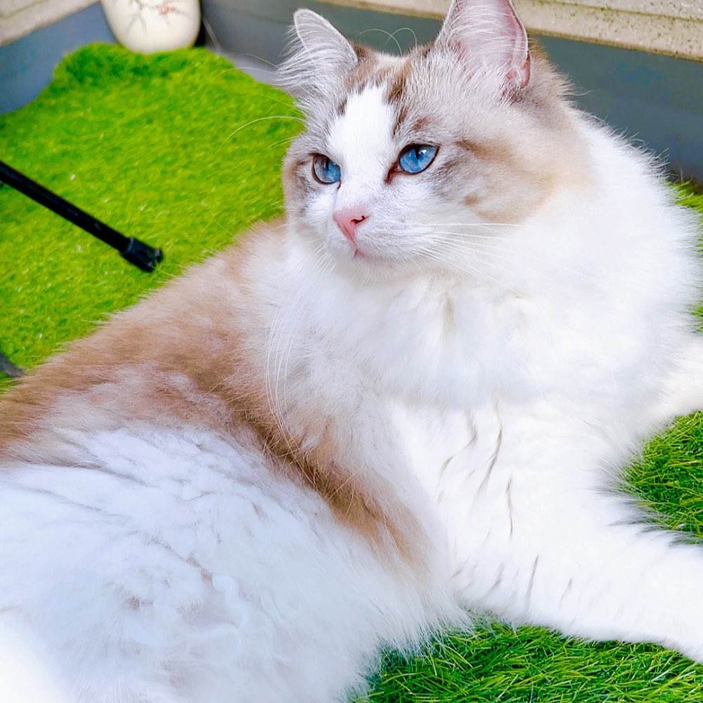 いい天気…アスレチックとかで遊びたいな…