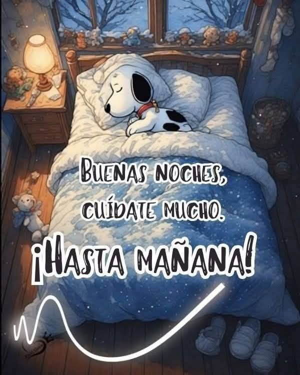 Buenas noches a todos 👋🏻👋🏻 excelente descanso 💤😴