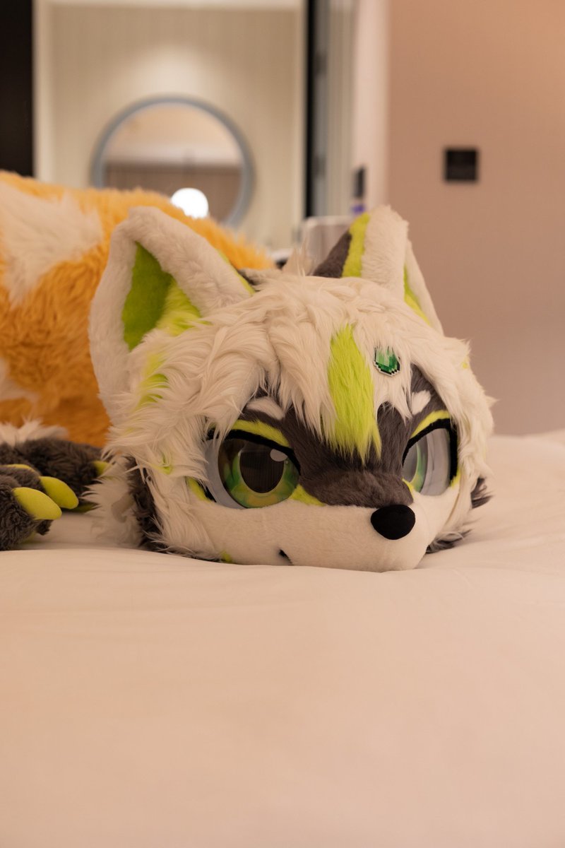 Sergy_Sono's tweet image. Hi！
#fursuitFriday