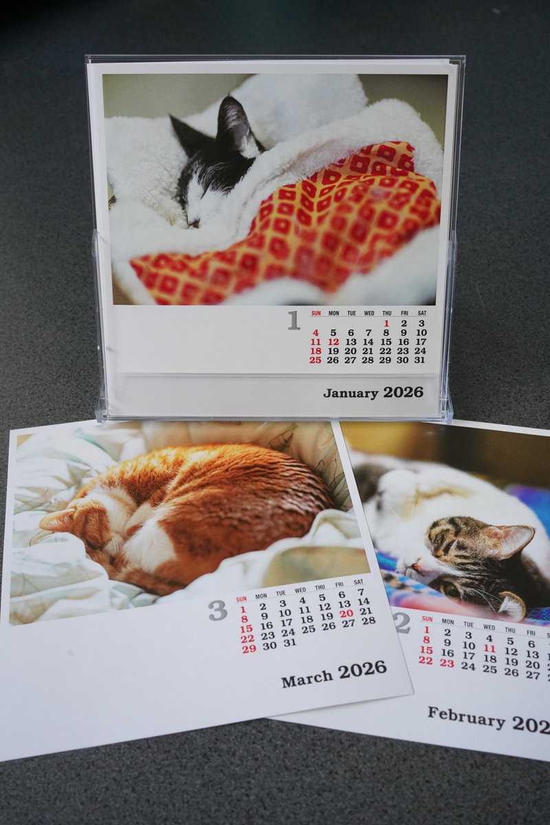 sa☺︎ページ スリクソンZ525アイアン 4〜P フレックスS