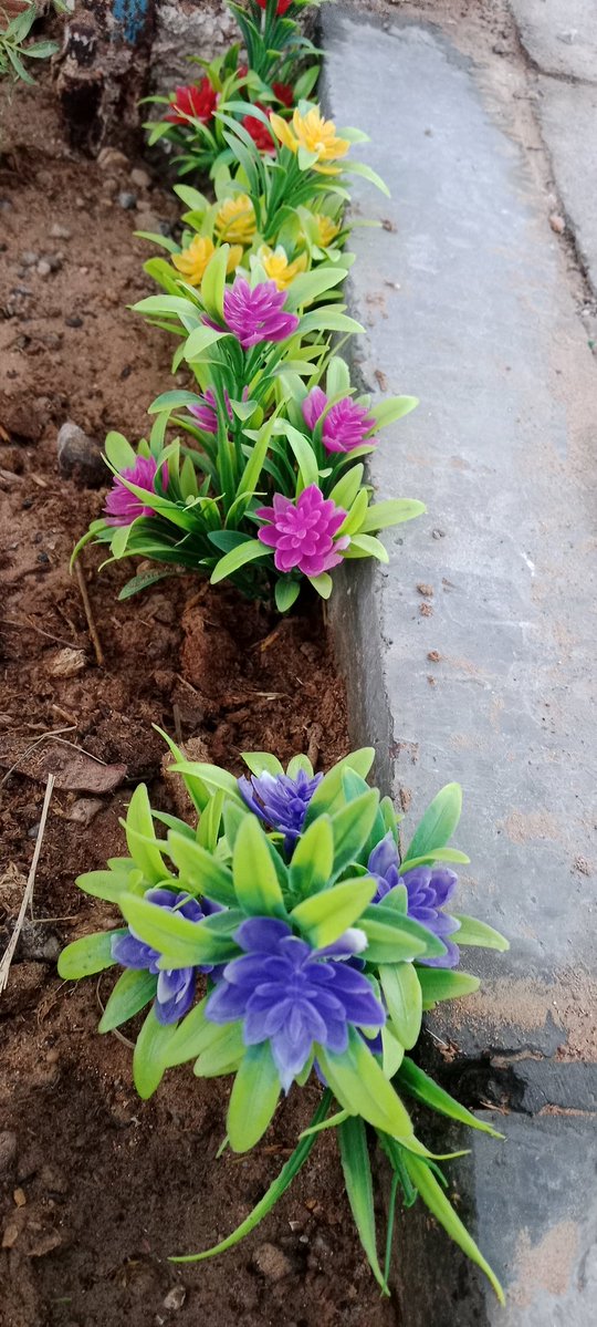 SelvaBSctwitz's tweet image. பூக்கள் பூத்துக் குலுங்கி சிரிப்பது போல், நாமும் மத்தவர்களிடம் சிரித்துக் கொண்டே மகிழ்ச்சியாக பயணிப்போம்..! ❤️

#saturdaymorning 🌷