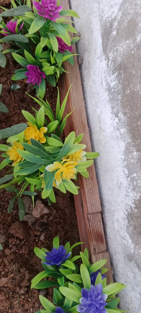 SelvaBSctwitz's tweet image. பூக்கள் பூத்துக் குலுங்கி சிரிப்பது போல், நாமும் மத்தவர்களிடம் சிரித்துக் கொண்டே மகிழ்ச்சியாக பயணிப்போம்..! ❤️

#saturdaymorning 🌷