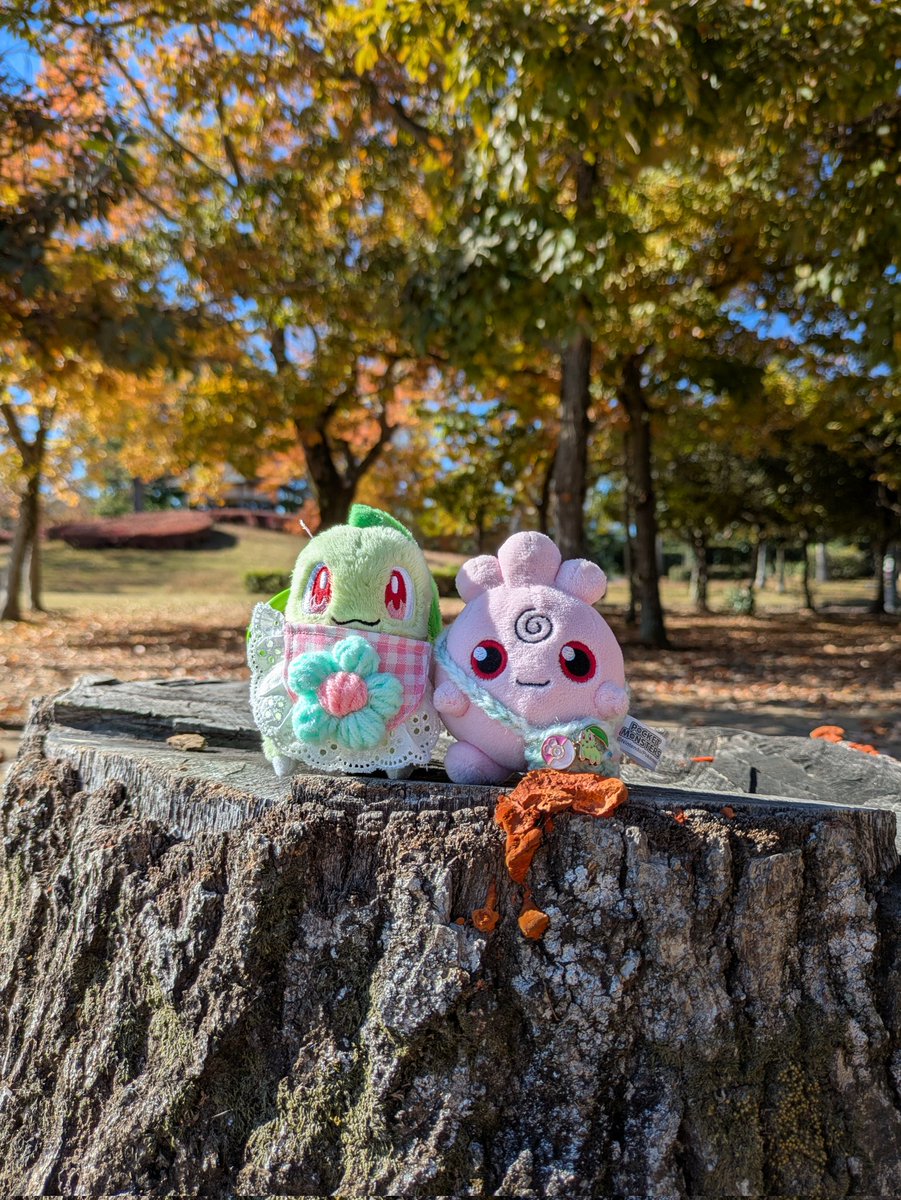 ちこれ@夢ポケに向けて原稿 (@chikolett) / Posts / X