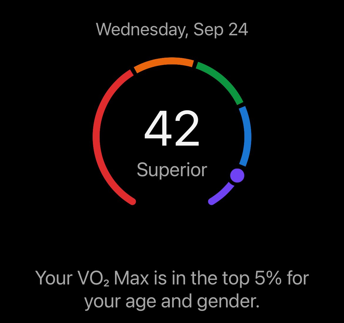 SeizureSalad 🧠 tweet media