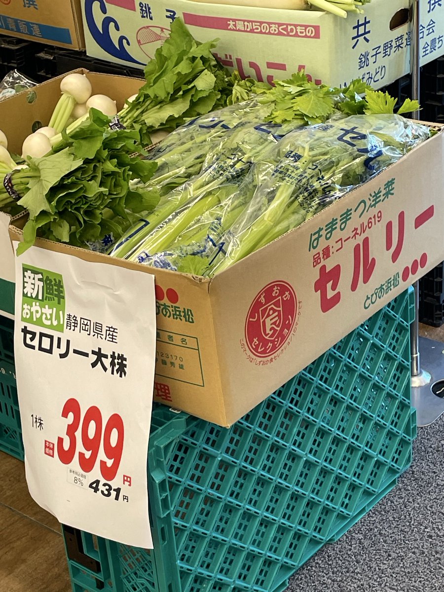 tetsuyasakai's tweet image. あなたはセロリー派？セルリー派？

ワシはセレリー派もしくはセラリー派

#celery