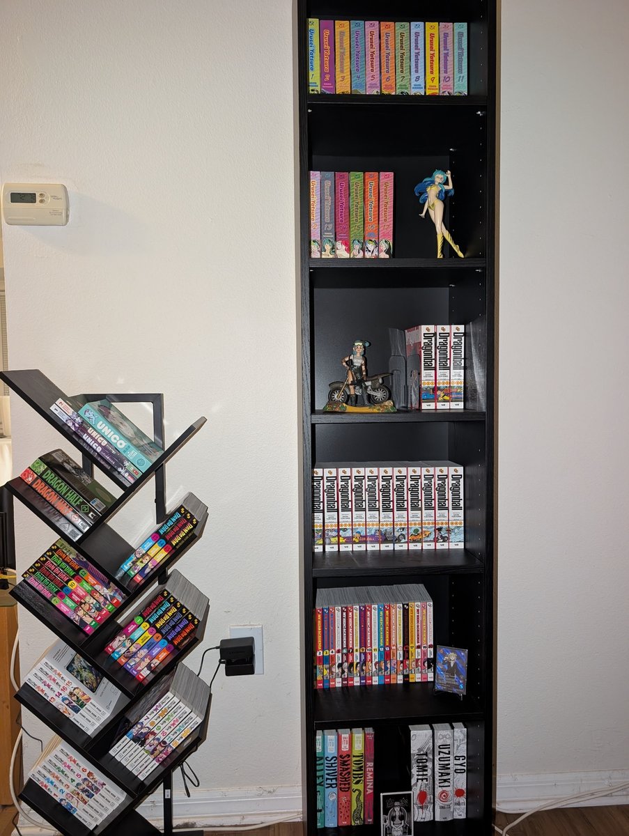 lilGiantRobot's tweet photo. @aspynthemermaid Ohhh actually I just finished organizing my little manga nook! https://t.co/jj3BjFk10N