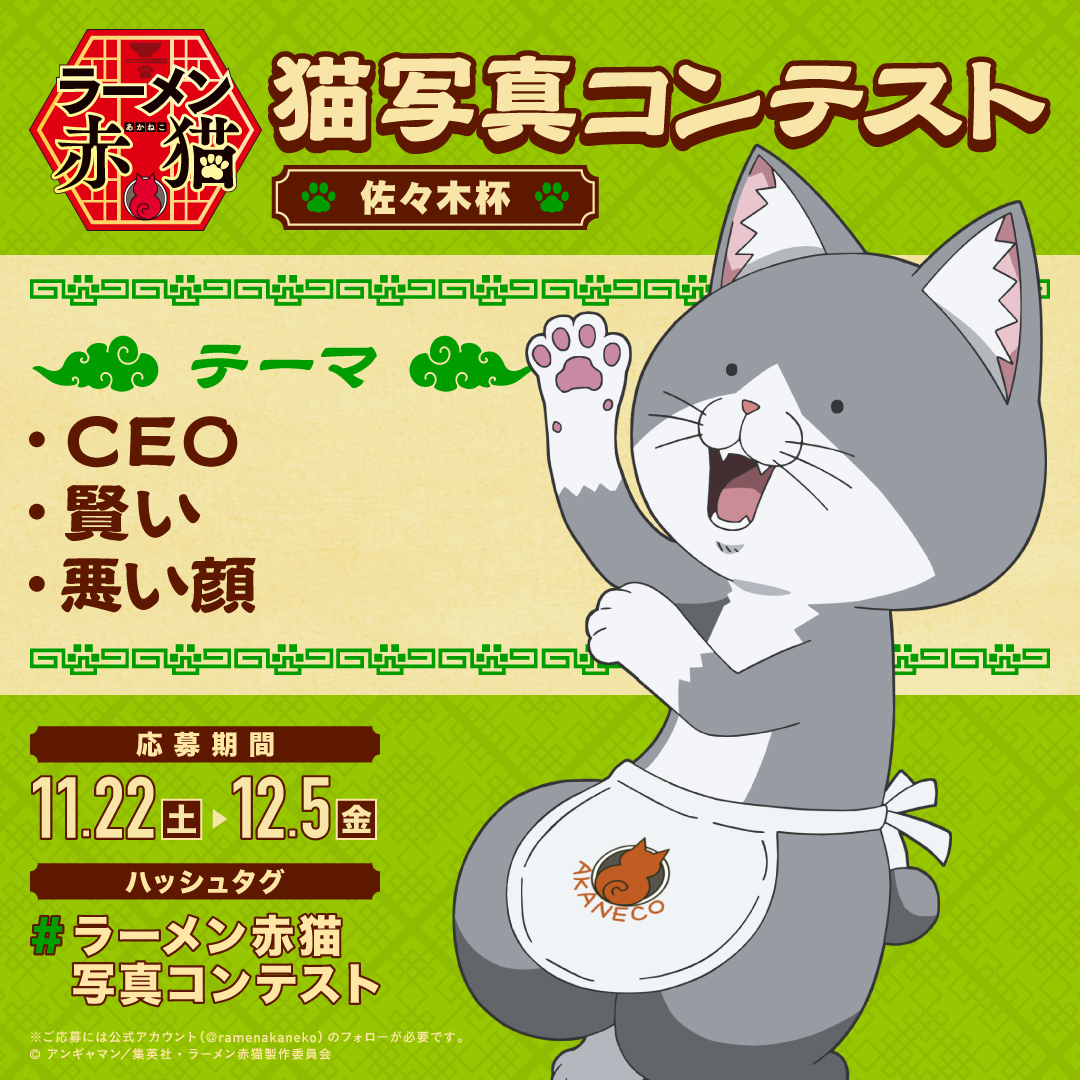 🍇こんぶ🍇 (@chiekonbu3) / Posts / X