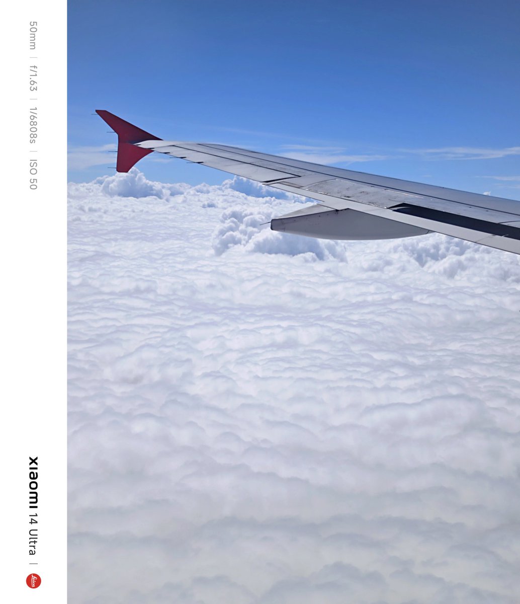 Rohith | Scrape any website with Clura.ai tweet media