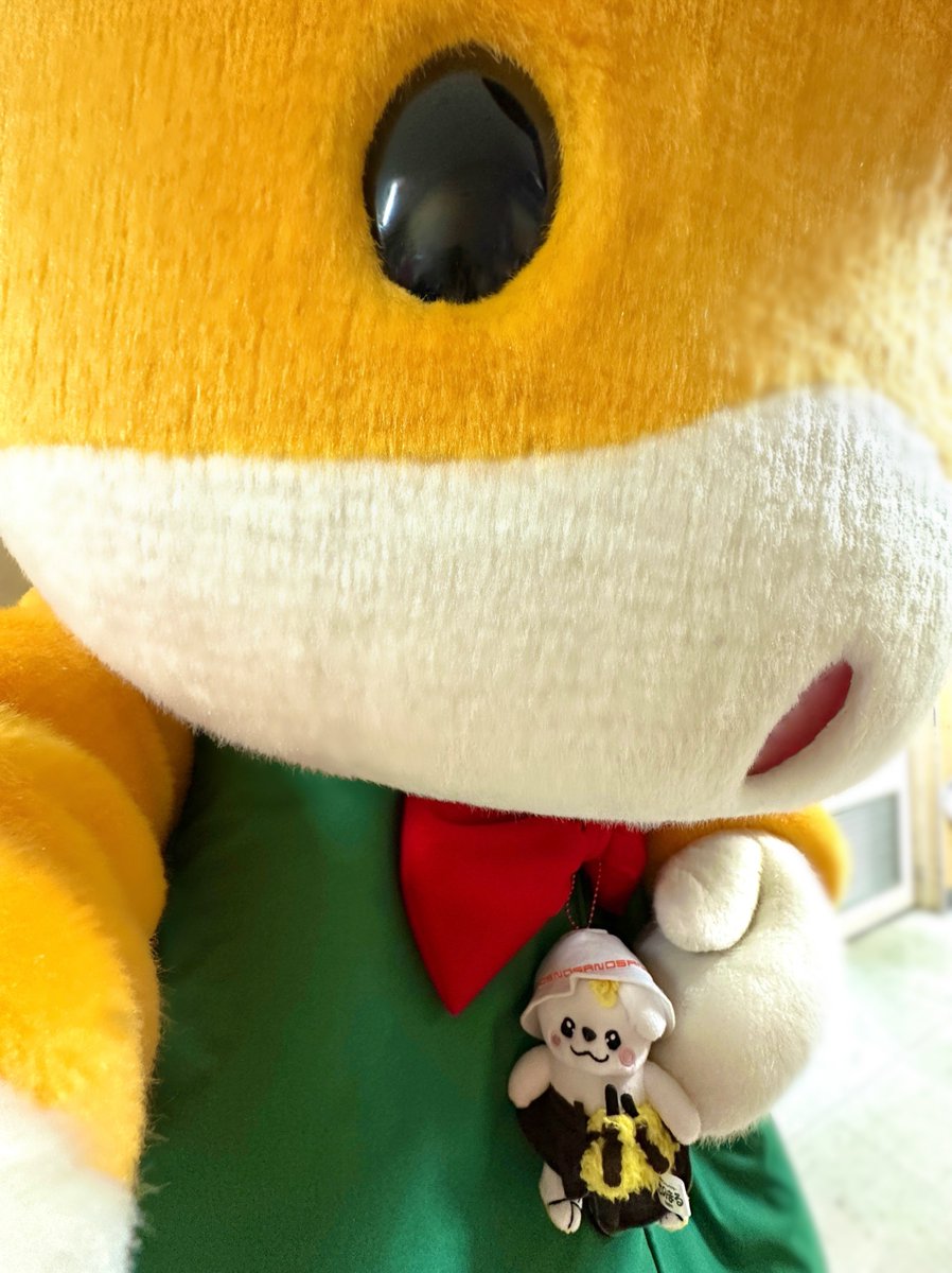 ジャニーズ バラ売り⭕️ 楽天市場】【最大P38倍!!25日はボーナスデー!!】コンバース スケート