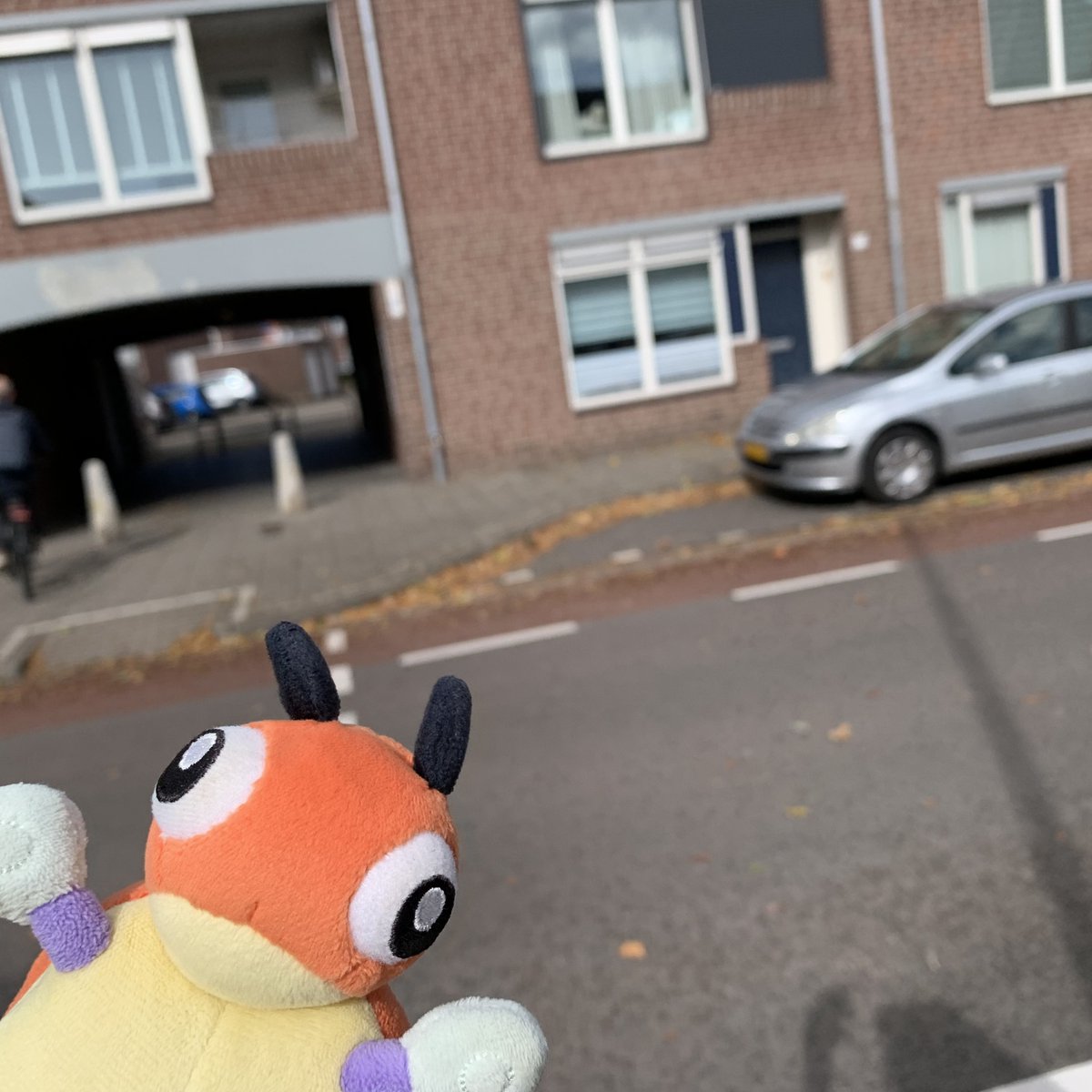 LedybaBaby's tweet image. *takes a selfie*

#Pokemon #Ledyba #Rediba #レディバ #ポケモン #ポケぬい #Eindhoven