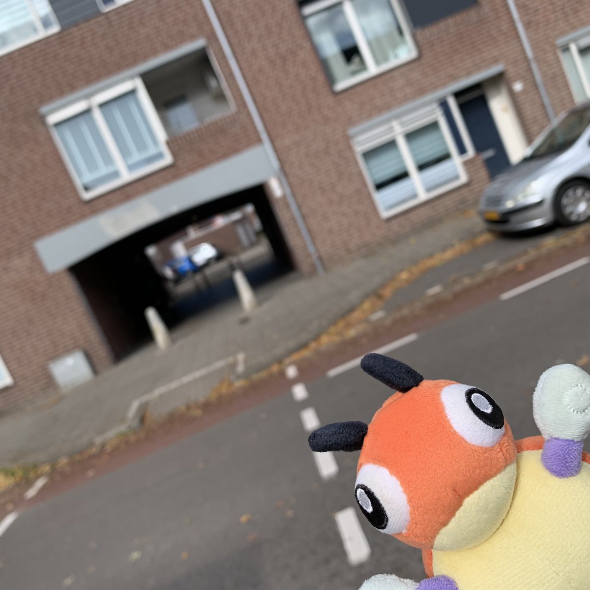 LedybaBaby's tweet image. *takes a selfie*

#Pokemon #Ledyba #Rediba #レディバ #ポケモン #ポケぬい #Eindhoven
