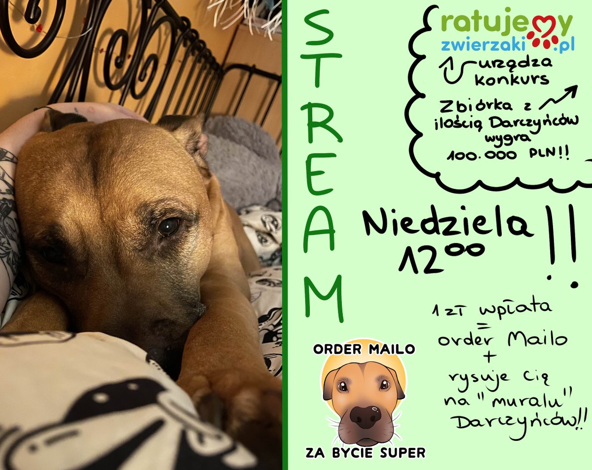 NIEDZIELA 12:00 - STREAM ZWIERZACZKOWY

W konkursie ratujmy zwierzaki bierze udział ważna dla mnie fundacja: Amstaffy Niczyje. To od nich miałam Mailo i zasługują na to żeby móc dalej pomagać i ratować pieski tej pięknej rasy!

WPŁATA 1 ZŁ JEST JUŻ NAJSUPER!!
