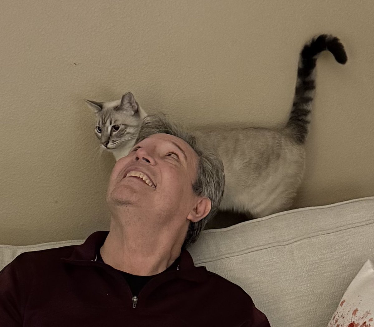 anime-nickelback tweet media