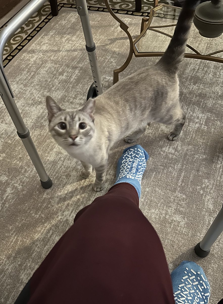 anime-nickelback tweet media