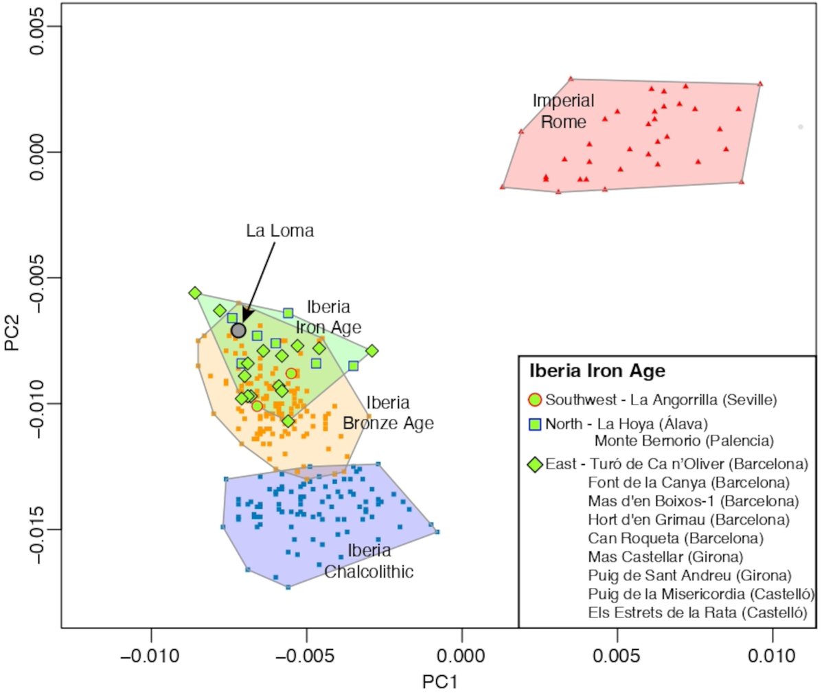 Genomic analysis of a soldier who fought against the Romans during the Cantabrian Wars (29–16 BC). The individual’s paternally inherited Y-chromosome haplogroup was R1b-DF27, the most frequent lineage in Iberia since the Early Bronze Age and analysis of the autosomal data