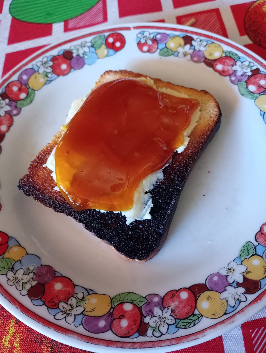 Hasta las tostadas se me queman 🫠