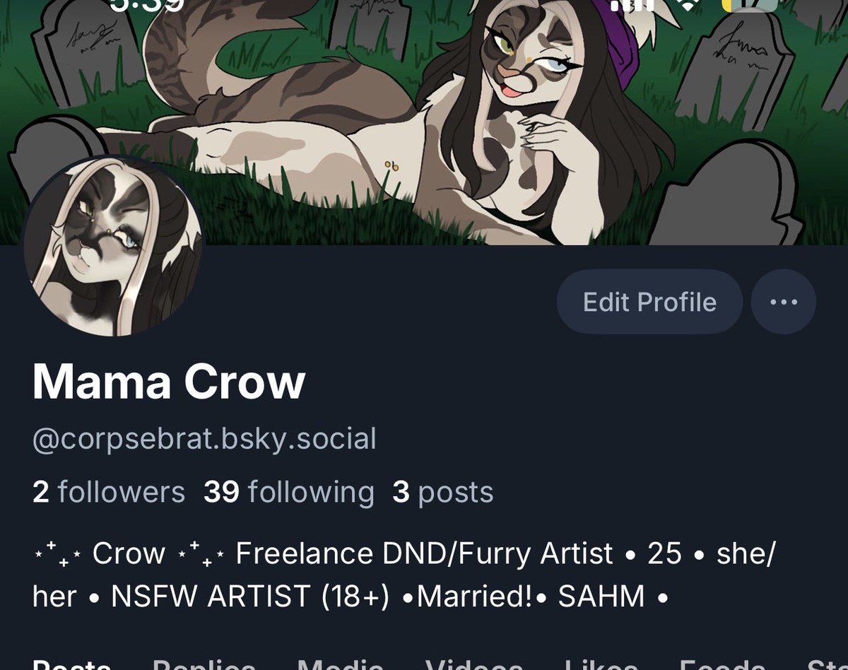 Mama Crow - Locally Hated Stray tweet media
