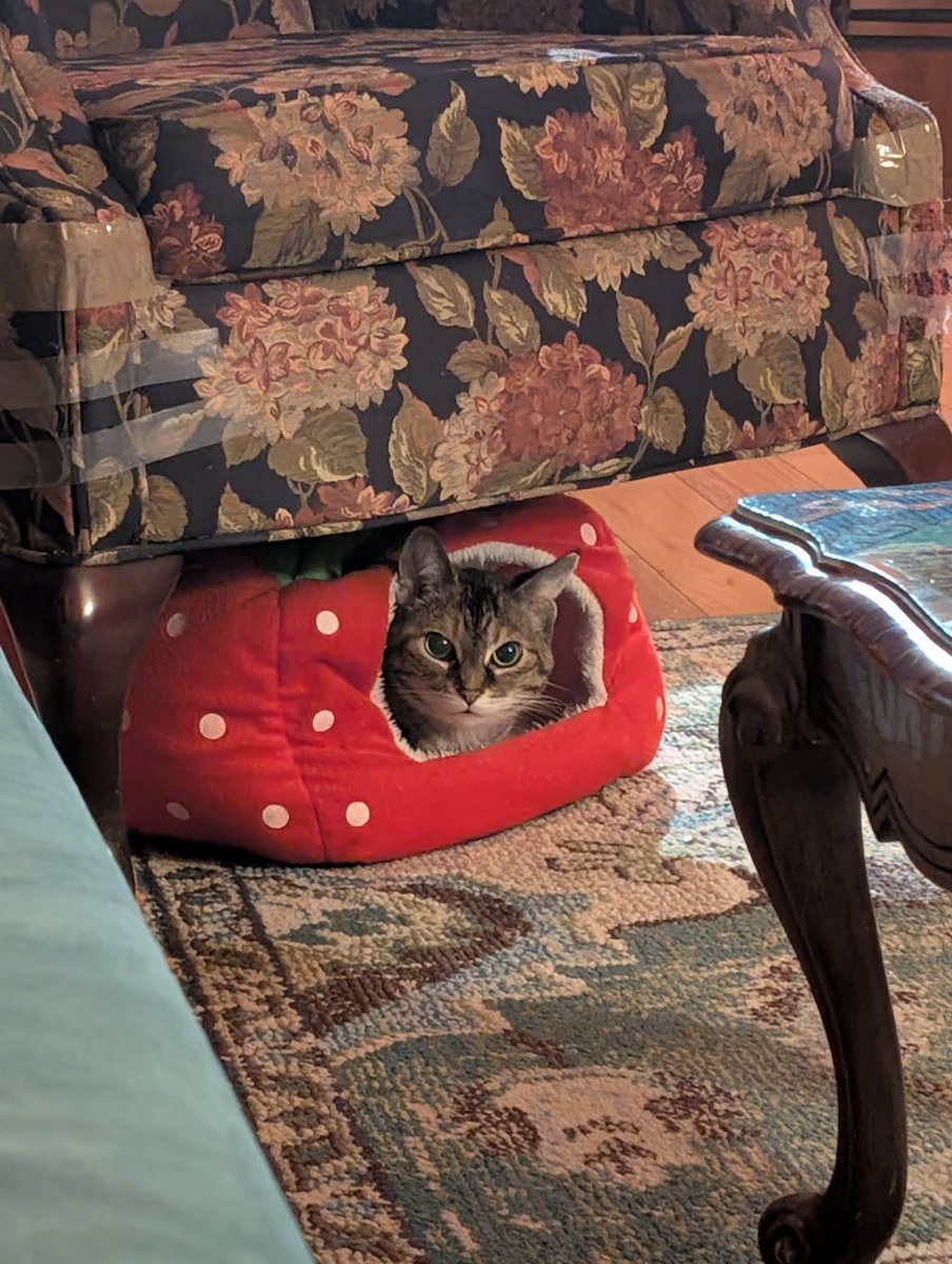 Have you considered that Florence lives in a strawberry under a chair?